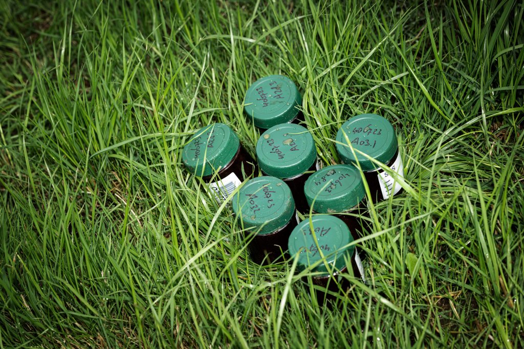 Watermonsters van Buro Antares in het veld genomen voor laboratoriumanalyse