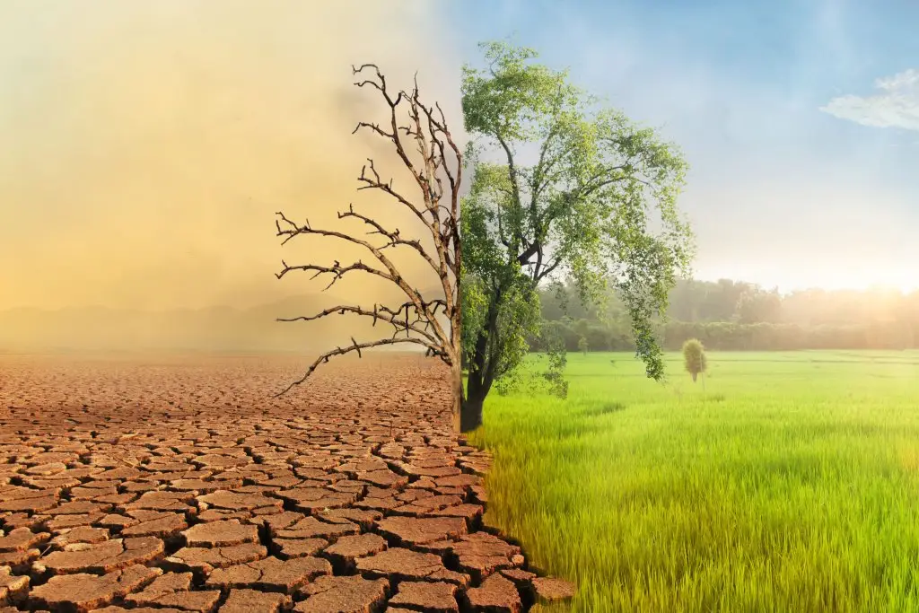 Landschap half verdroogd en half groen, als beeld van klimaatverandering